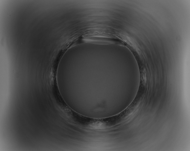 X0000094900551200712061030