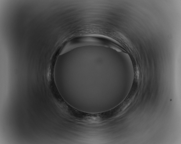 X0000094900552200712061030