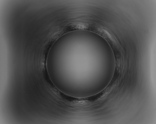 X0000094900553200712061030