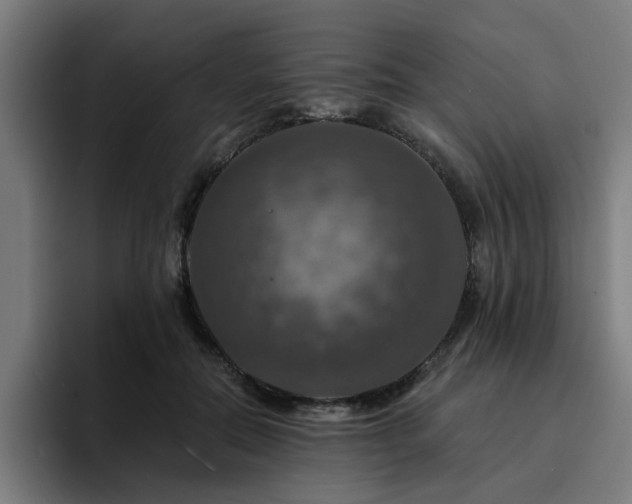 X0000094900554200712061030