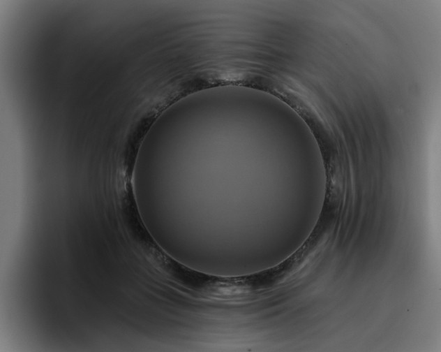 X0000094900555200712061031