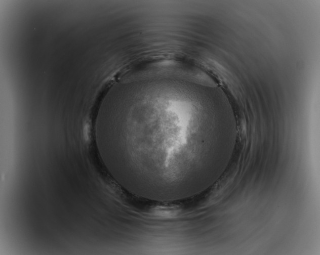 X0000094900556200712061031