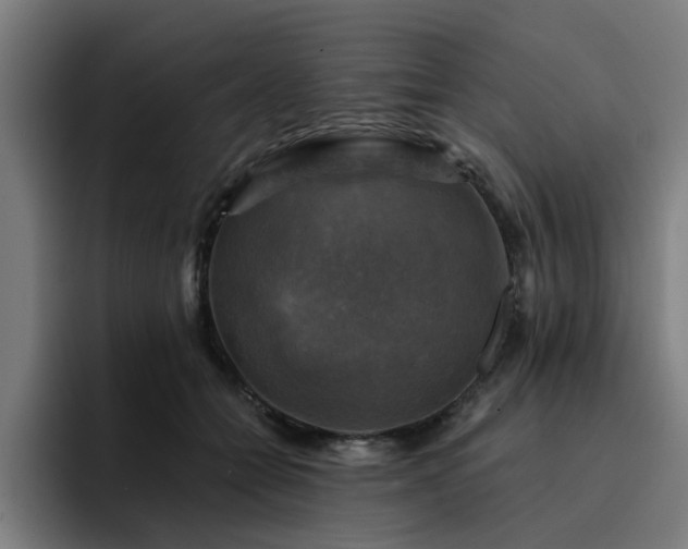 X0000094900558200712061031