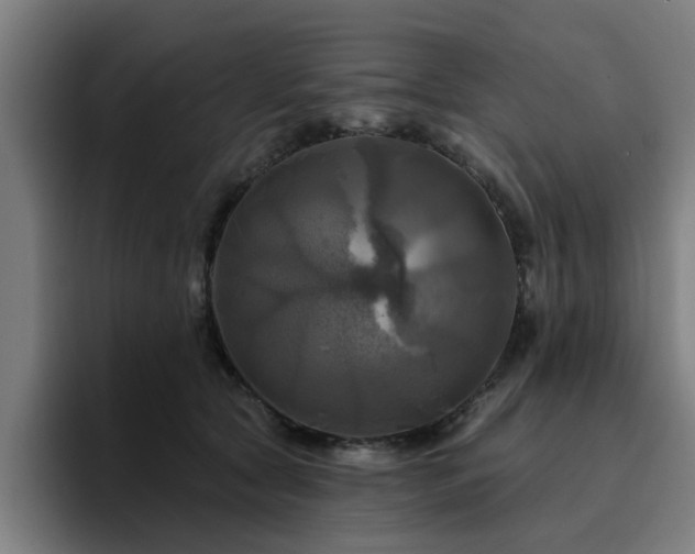 X0000094900561200712061031