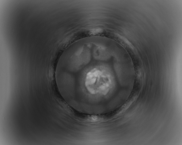 X0000094900565200712061031