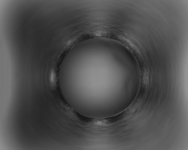 X0000094900569200712061031