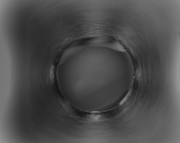 X0000094900570200712061031