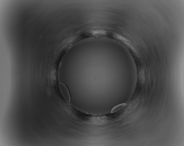 X0000094900571200712061031
