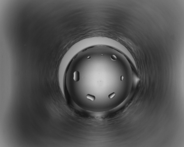 X0000094900572200712061031