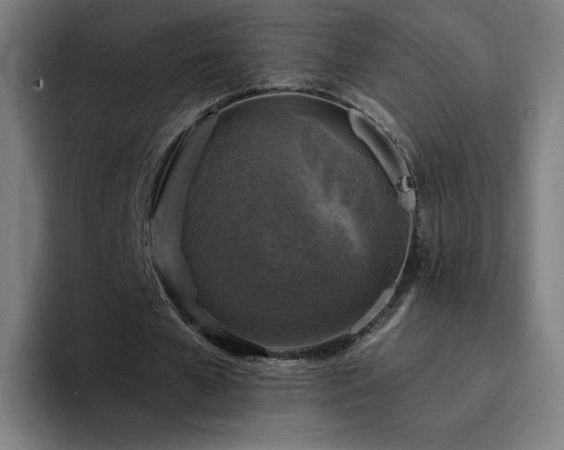 X0000094900577200712061030