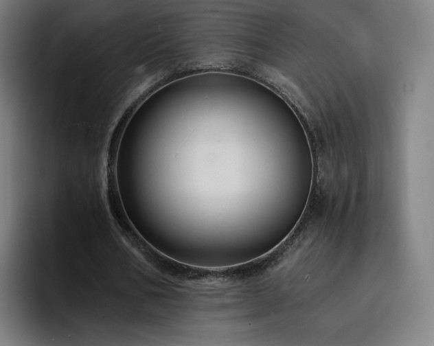 X0000094900578200712061030