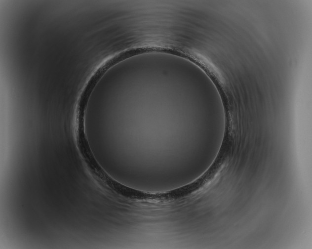 X0000094900580200712061030