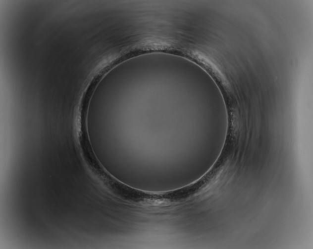 X0000094900582200712061030