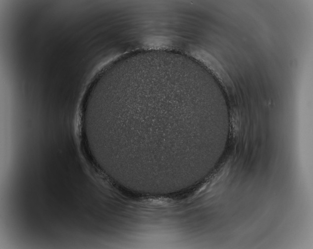 X0000094900583200712061030