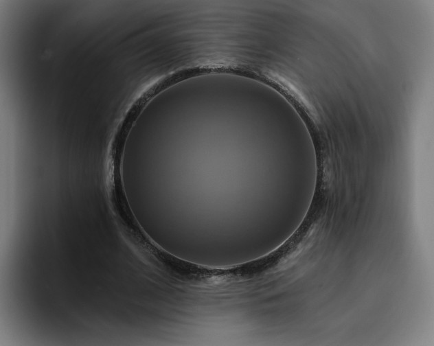 X0000094900584200712061030