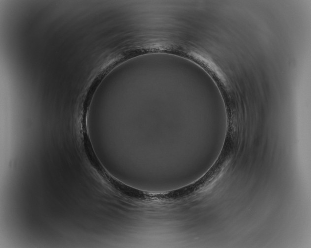 X0000094900585200712061030
