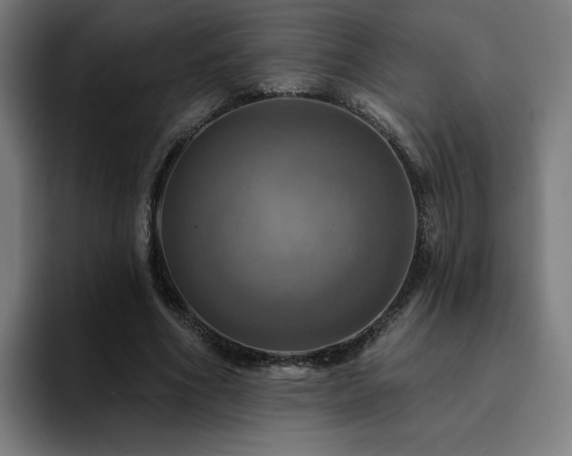 X0000094900586200712061030