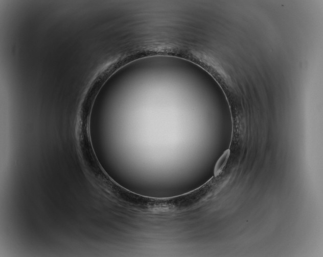 X0000094900587200712061030