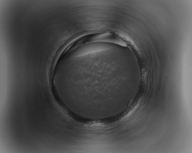 X0000094900589200712061030