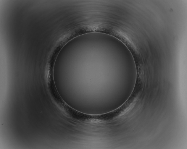 X0000094900590200712061030