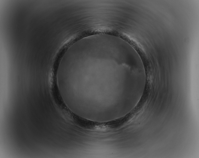 X0000094900591200712061030