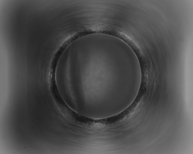 X0000094900592200712061030