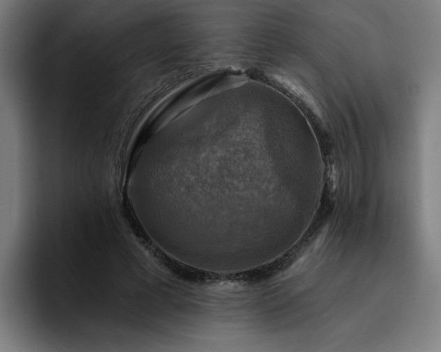 X0000094900593200712061030