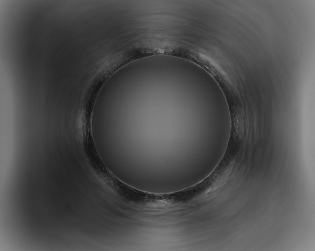 X0000094900594200712061030