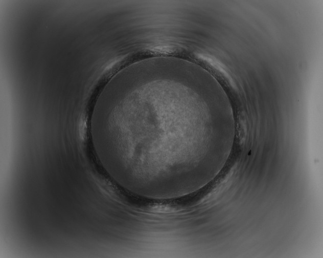 X0000094900596200712061030