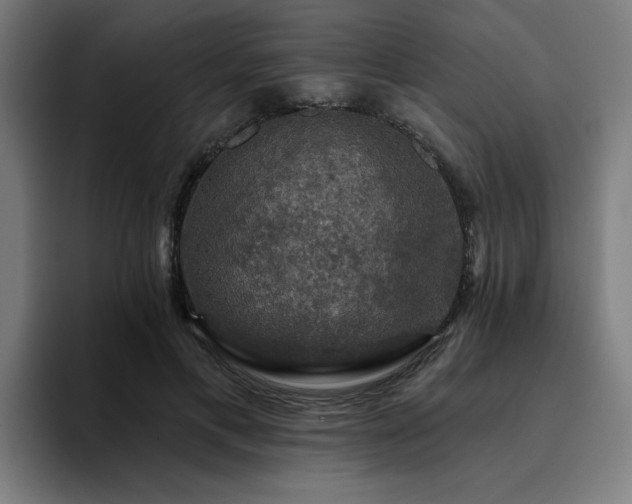 X0000094900597200712061030
