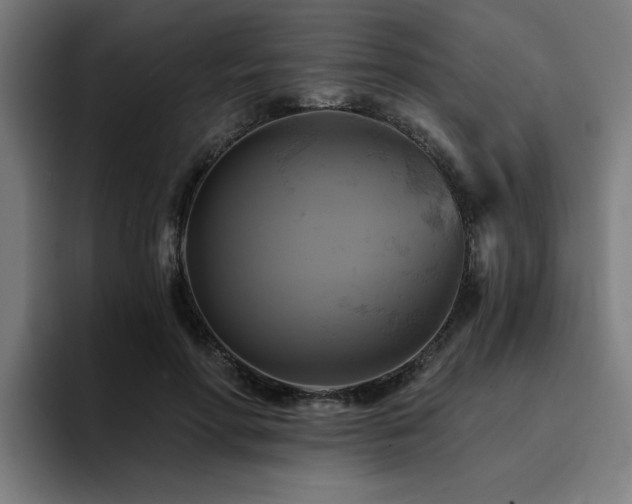 X0000094900598200712061030