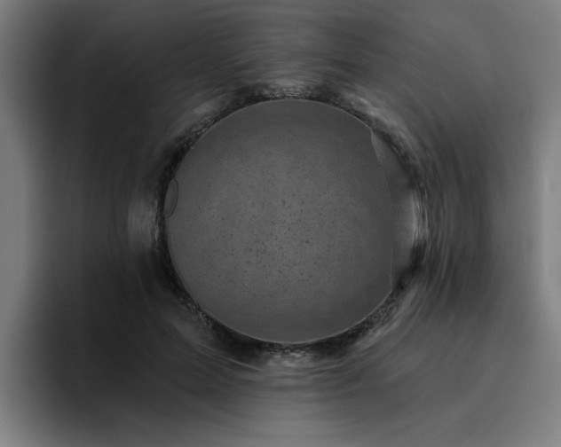 X0000094900599200712061030