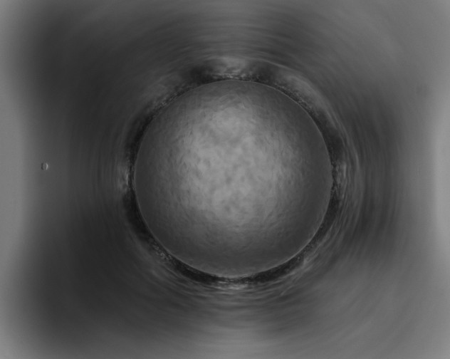 X0000094900602200712061030
