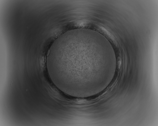 X0000094900605200712061030