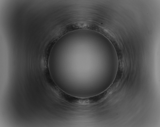 X0000094900606200712061030