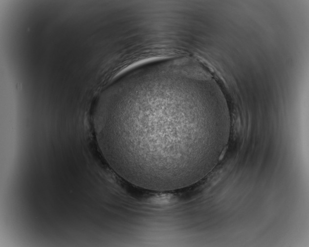 X0000094900609200712061030