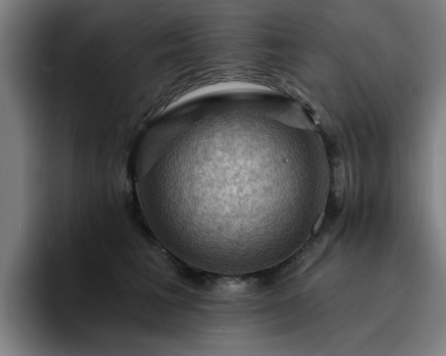 X0000094900613200712061030