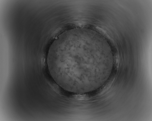 X0000094900615200712061030