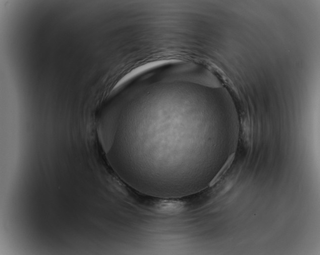 X0000094900617200712061030