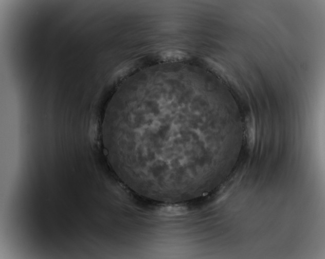 X0000094900619200712061030