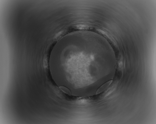 X0000094900620200712061030