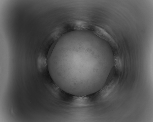 X0000094900621200712061030