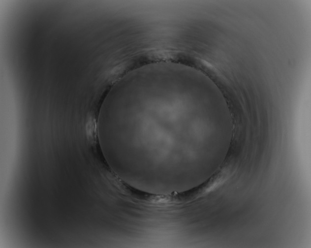 X0000094900624200712061030