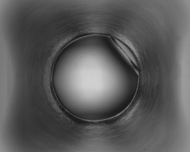 X0000094900625200712061029
