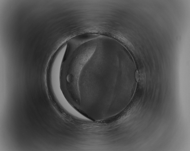 X0000094900626200712061029