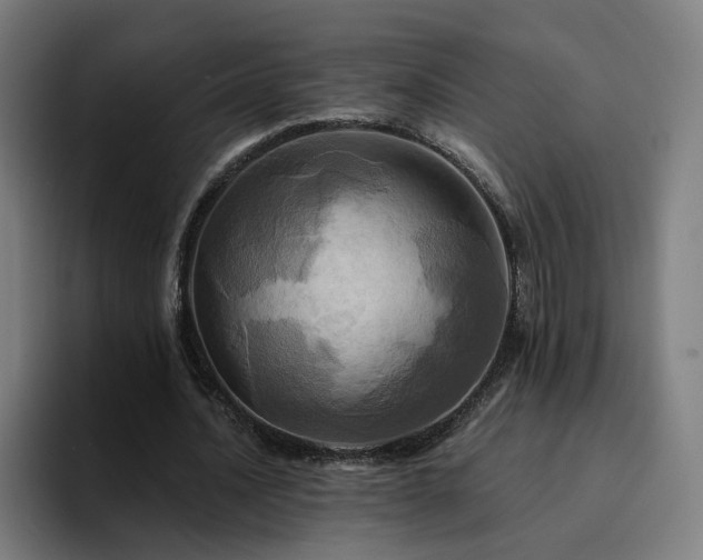X0000094900628200712061029