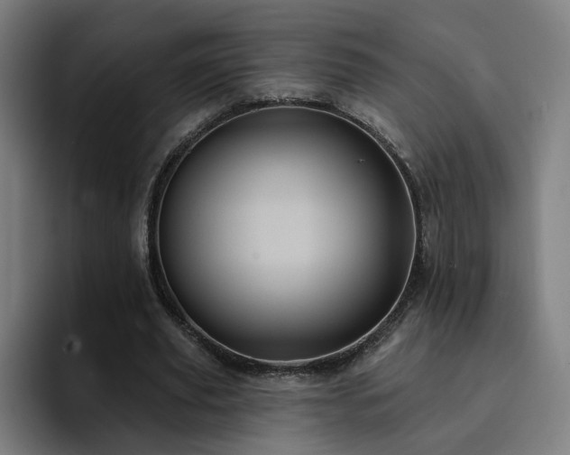 X0000094900629200712061029