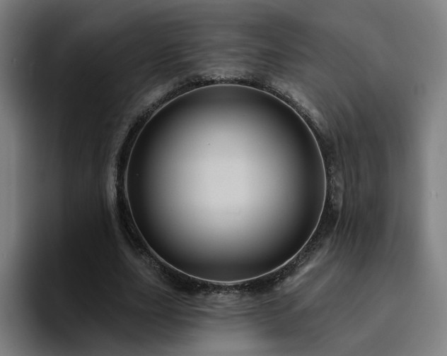 X0000094900631200712061029
