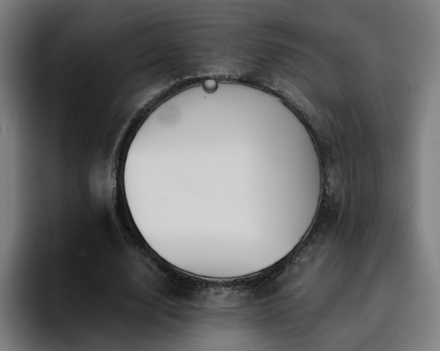 X0000094900632200712061029