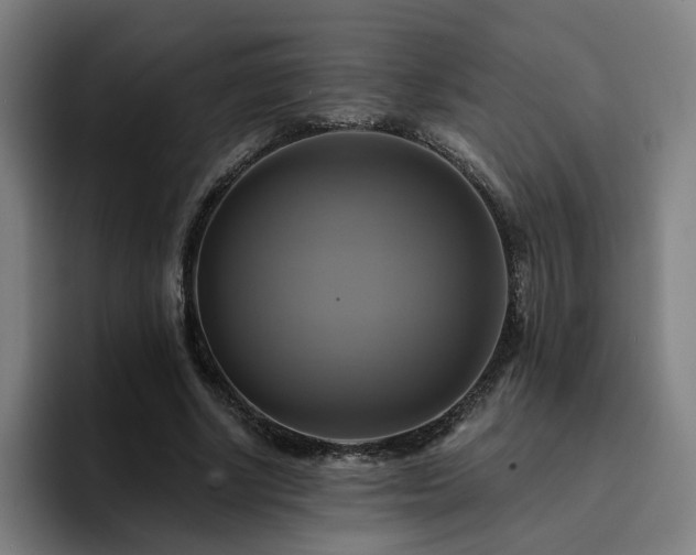 X0000094900634200712061029